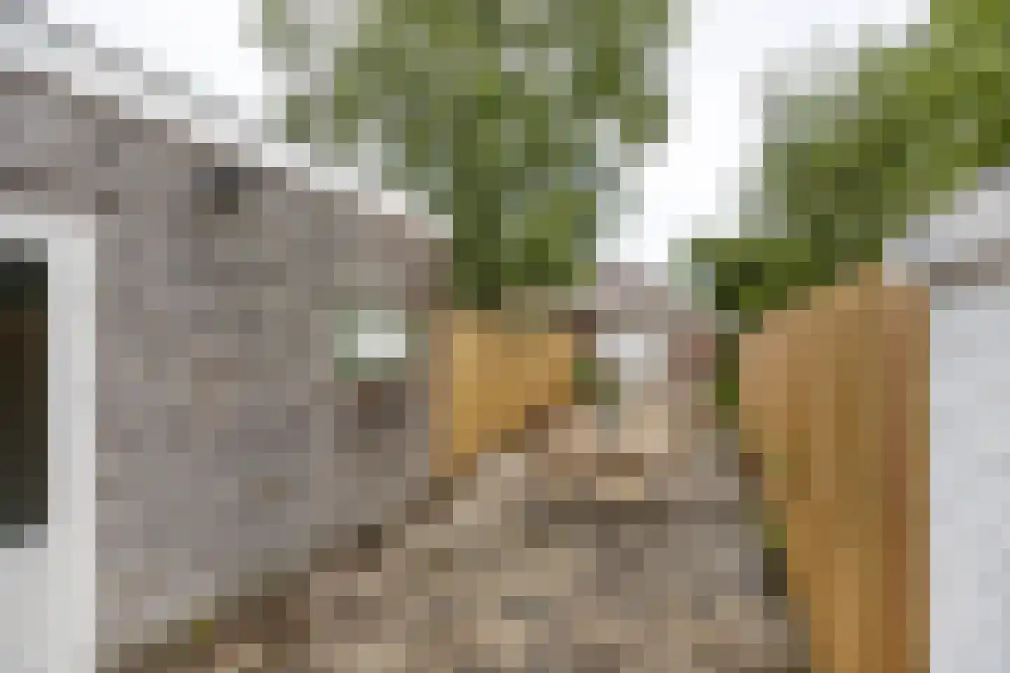 Morsweg 69 Leiden thumbnail 20
