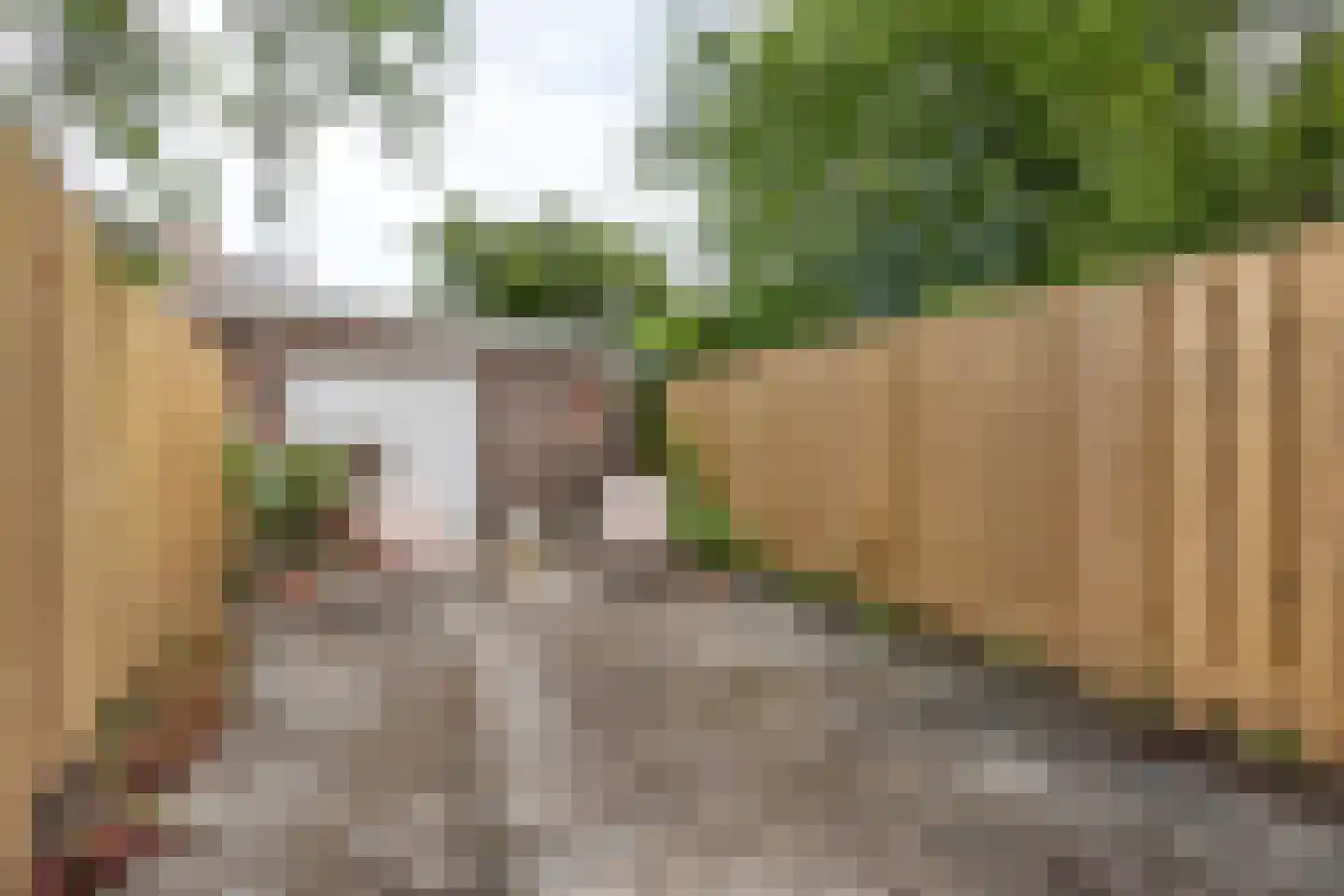 Morsweg 69 Leiden thumbnail 21