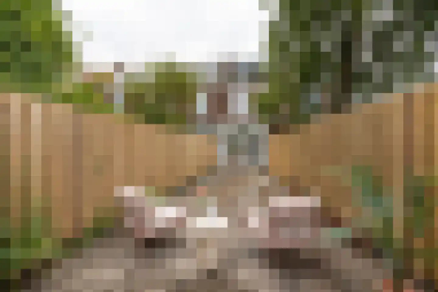 Morsweg 69 Leiden thumbnail 22