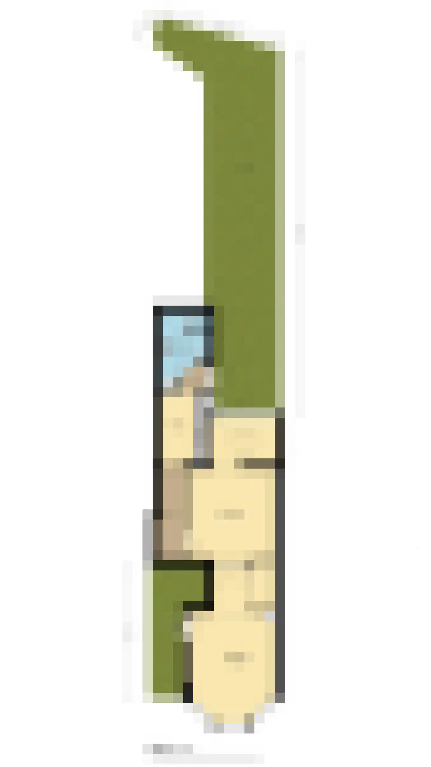 Morsweg 69 Leiden thumbnail 27