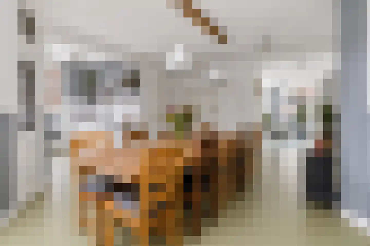 Morsweg 73 Leiden thumbnail 20