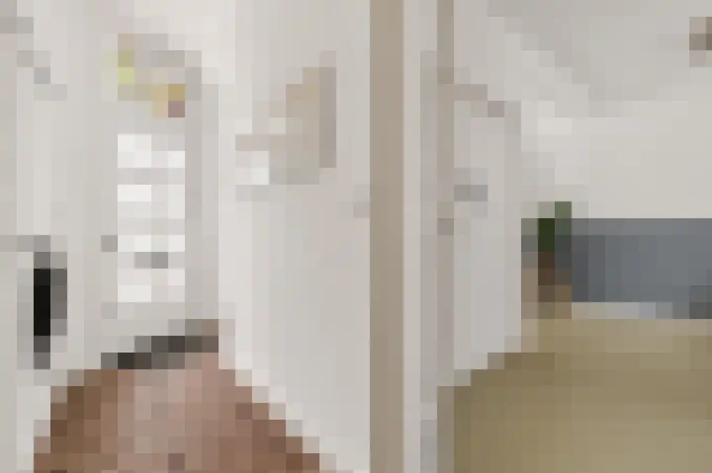 Morsweg 73 Leiden thumbnail 28