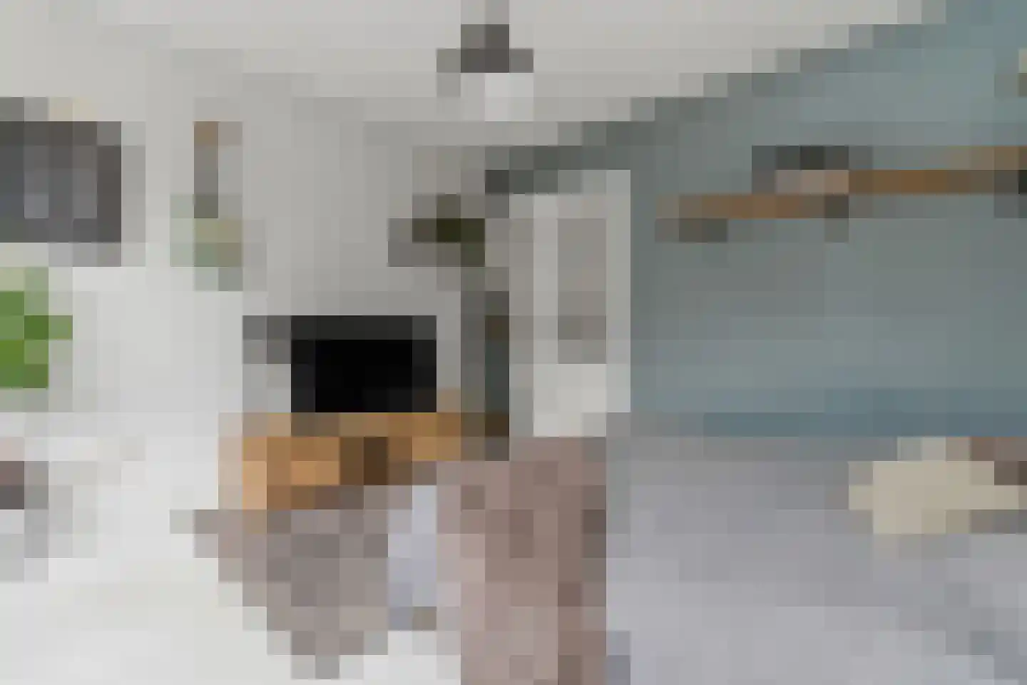 Morsweg 73 Leiden thumbnail 33