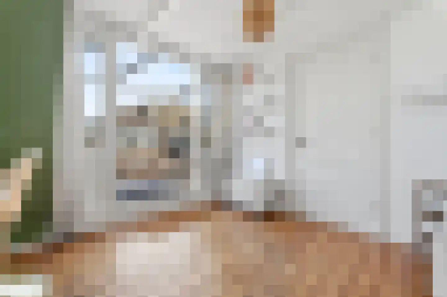 Morsweg 73 Leiden thumbnail 59