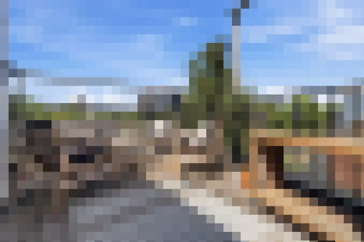 Morsweg 73 Leiden thumbnail 60