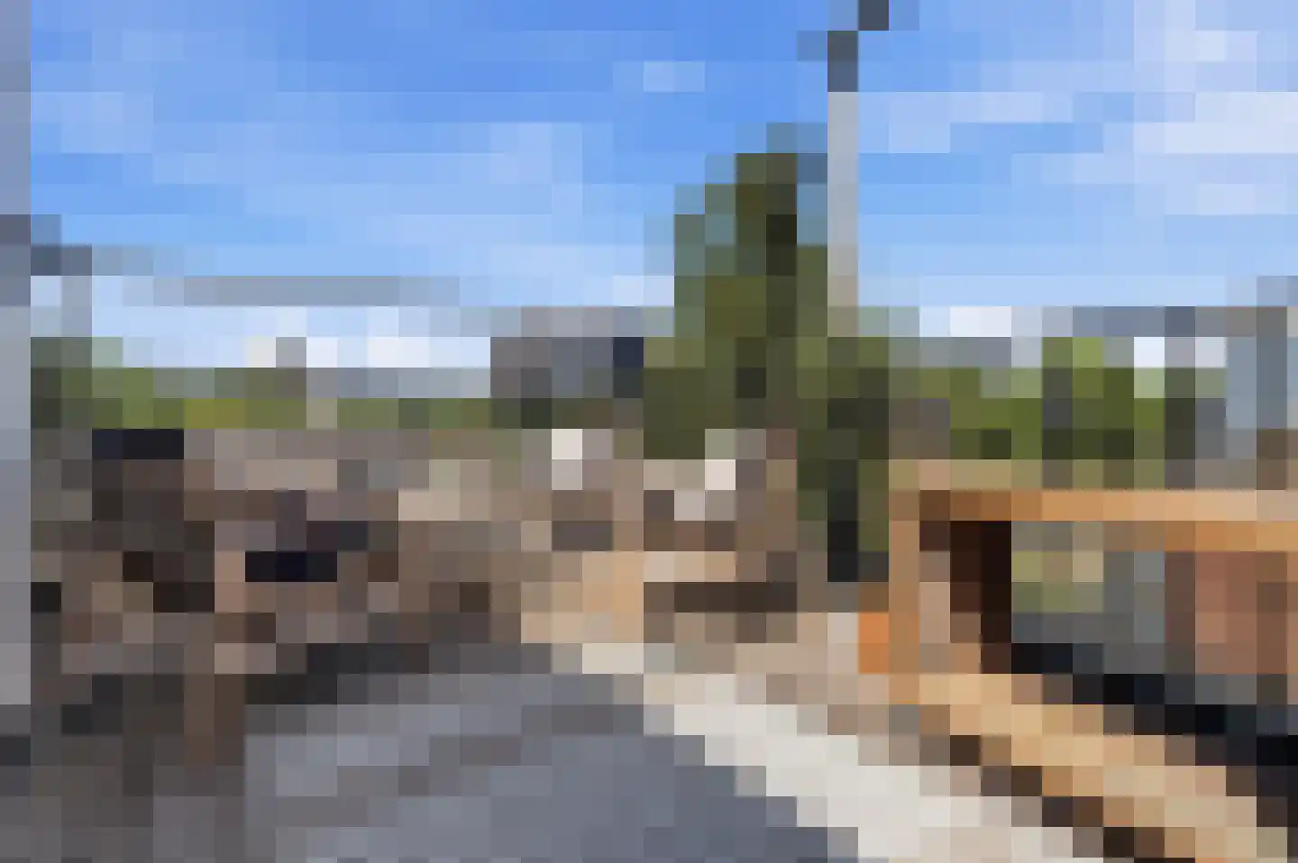Morsweg 73 Leiden thumbnail 60