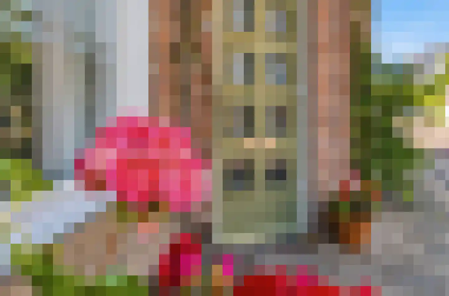 Morsweg 73 Leiden thumbnail 7