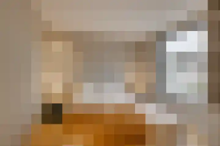 Morsweg 75 A Leiden thumbnail 23