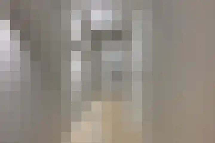 Morsweg 75 A Leiden thumbnail 5