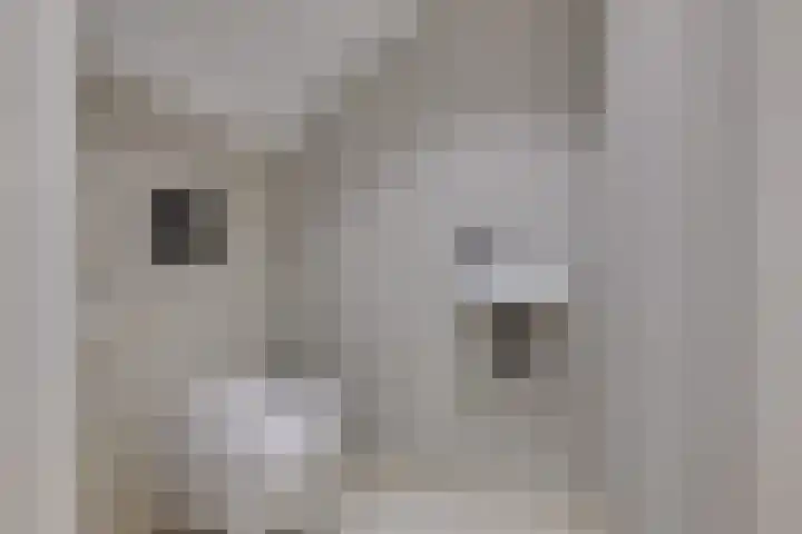 Morsweg 75 A Leiden thumbnail 6
