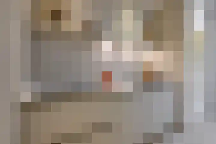 Morsweg 75 A Leiden thumbnail 8
