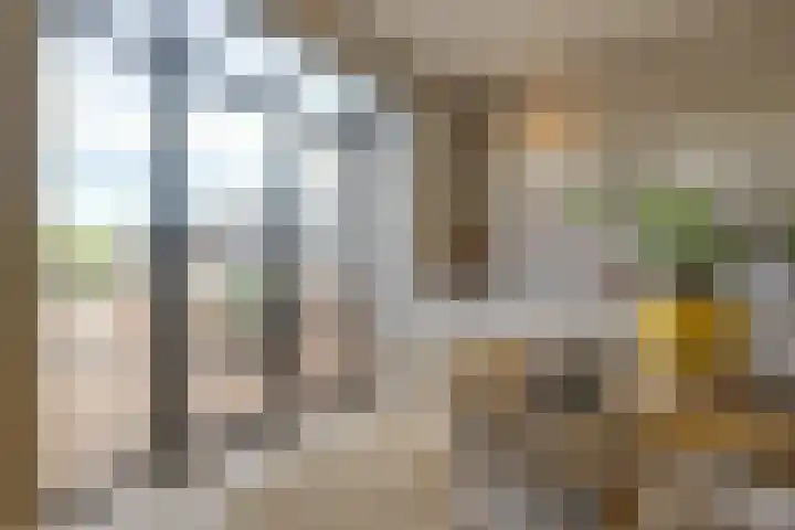 Morsweg 75 B Leiden thumbnail 10
