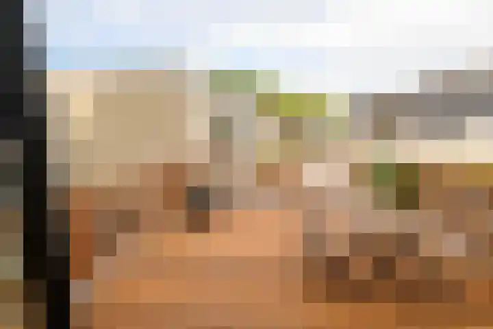Morsweg 75 B Leiden thumbnail 16