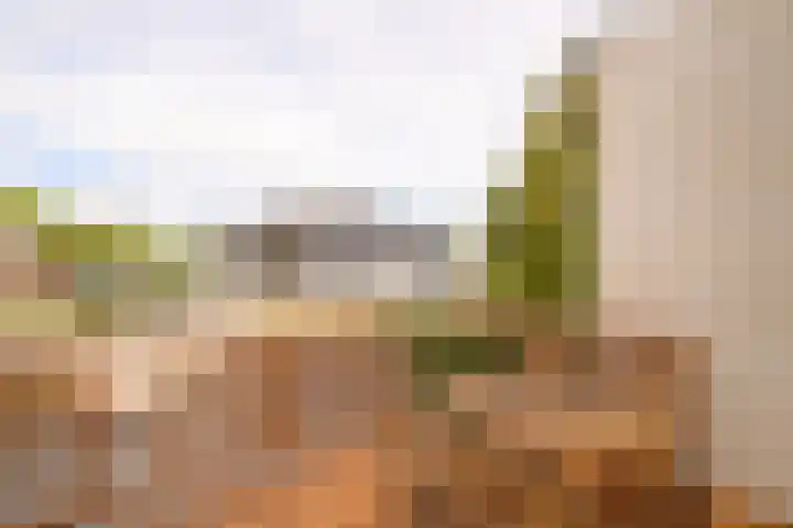 Morsweg 75 B Leiden thumbnail 17