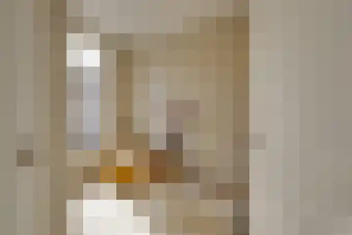 Morsweg 75 B Leiden thumbnail 21