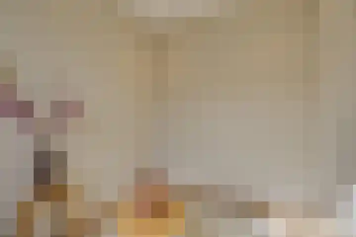 Morsweg 75 B Leiden thumbnail 23