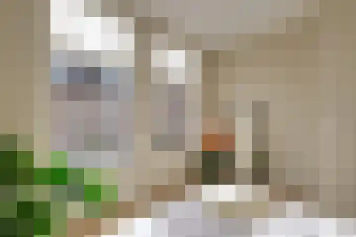 Morsweg 75 B Leiden thumbnail 26