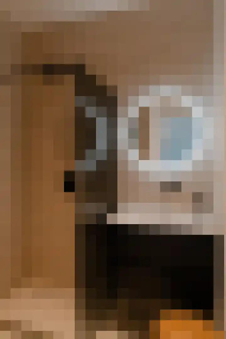 Morsweg 75 B Leiden thumbnail 33