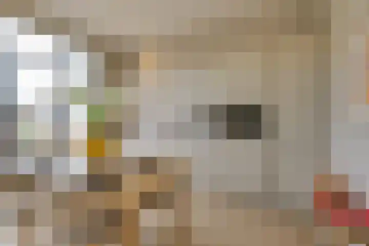 Morsweg 75 B Leiden thumbnail 6