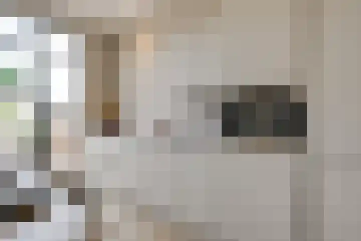 Morsweg 75 B Leiden thumbnail 8