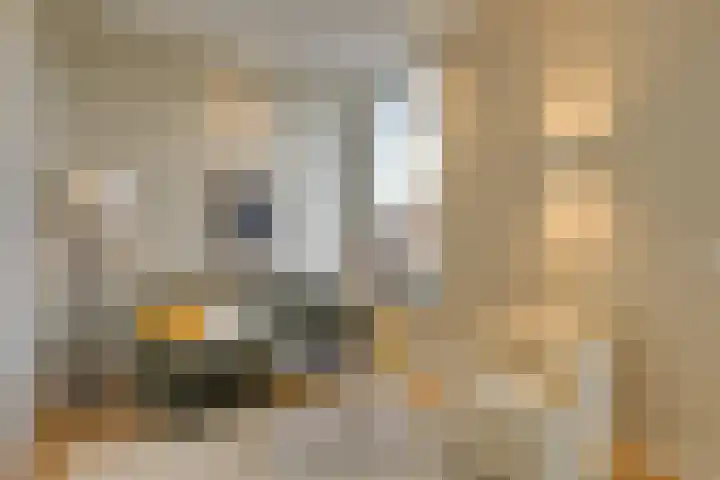 Morsweg 75 B Leiden thumbnail 9