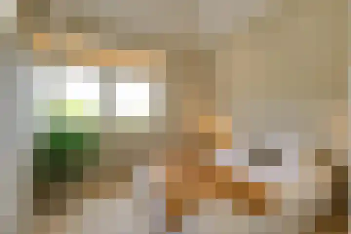 Morsweg 75 C Leiden thumbnail 16