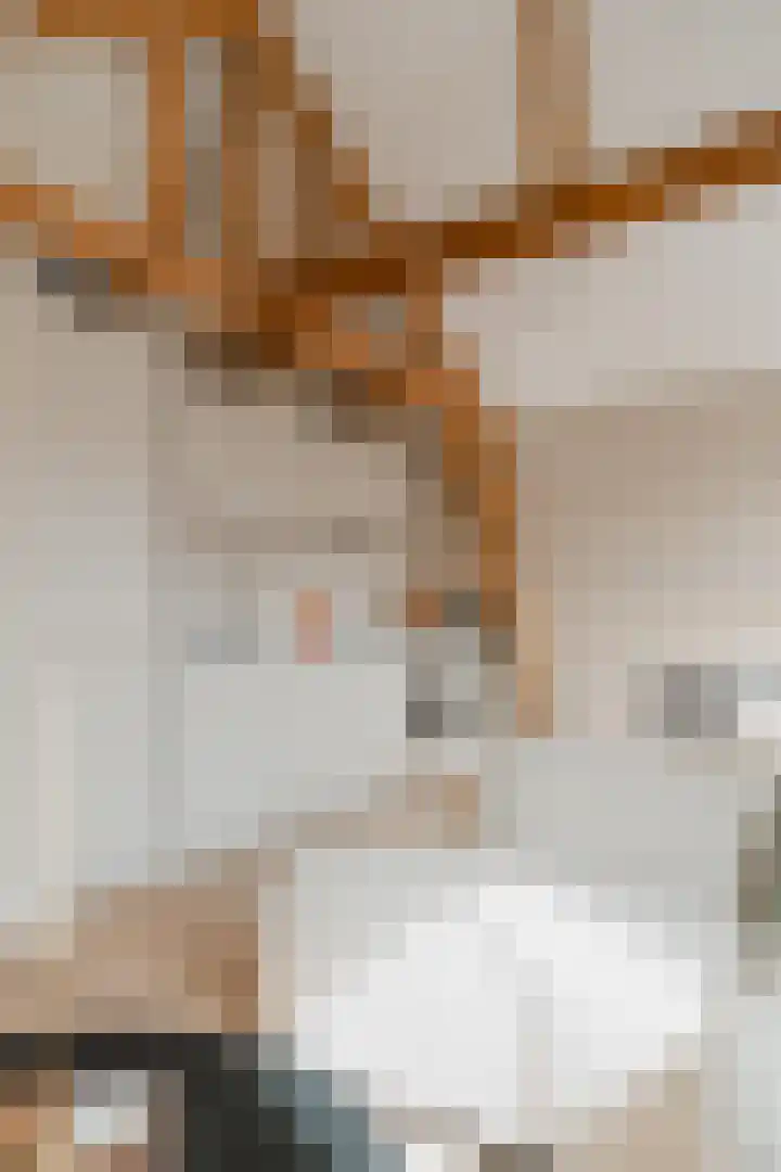 Morsweg 75 C Leiden thumbnail 25