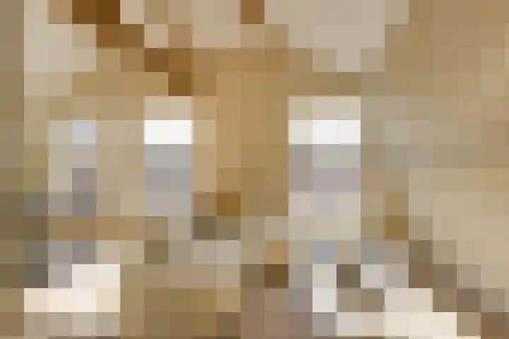 Morsweg 75 C Leiden thumbnail 5