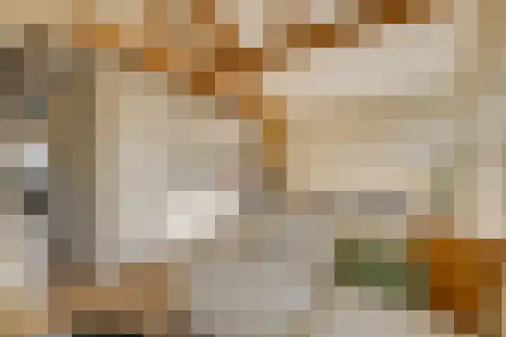 Morsweg 75 C Leiden thumbnail 7