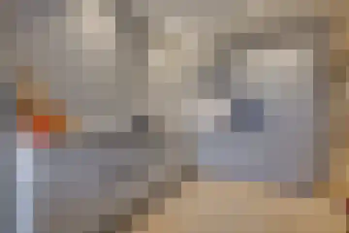 Morsweg 75 Leiden thumbnail 16