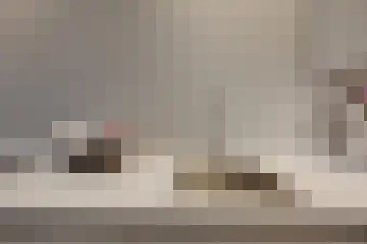 Morsweg 75 Leiden thumbnail 18