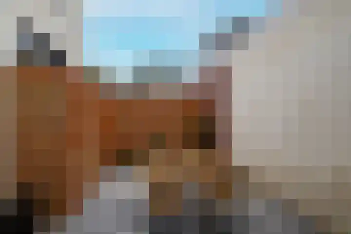 Morsweg 75 Leiden thumbnail 22