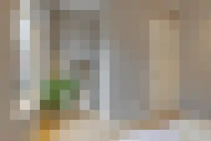 Morsweg 75 Leiden thumbnail 28