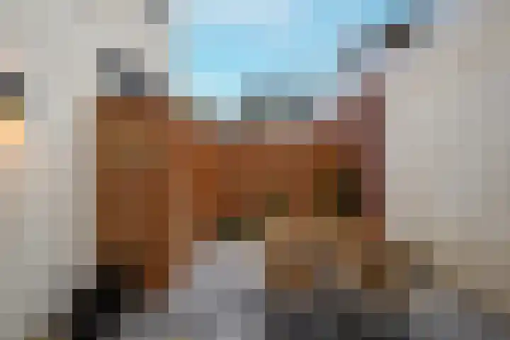 Morsweg 75 Leiden thumbnail 4