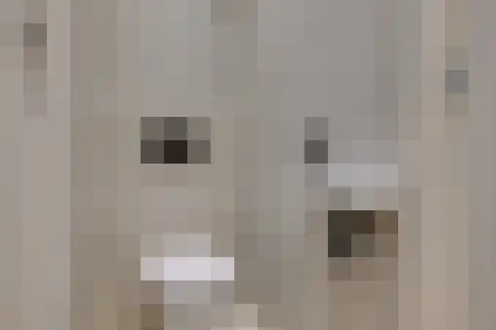 Morsweg 75 Leiden thumbnail 6