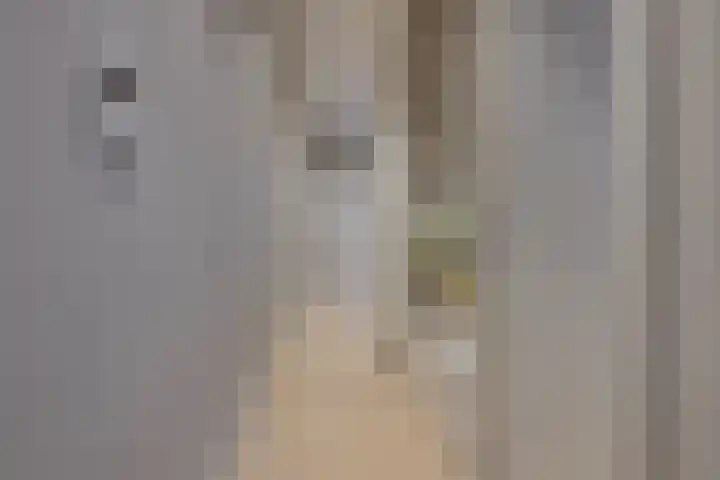 Morsweg 75 Leiden thumbnail 7