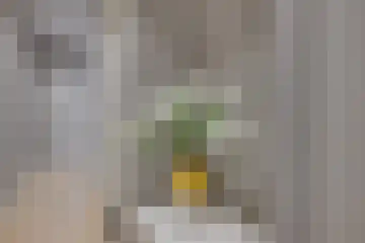 Morsweg 75 Leiden thumbnail 8
