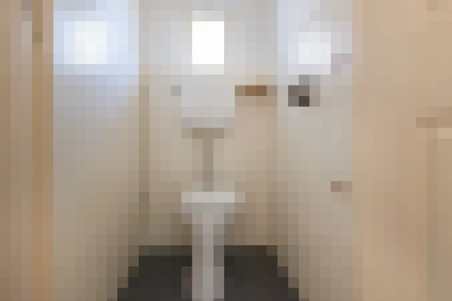 Morsweg 8 Geesteren thumbnail 13