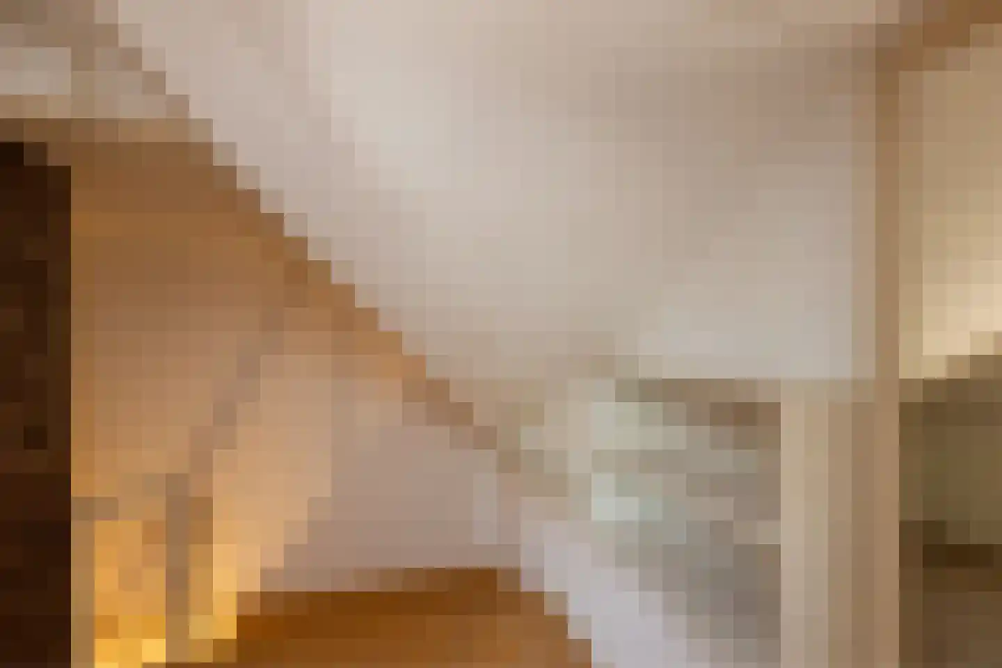 Morsweg 8 Geesteren thumbnail 17