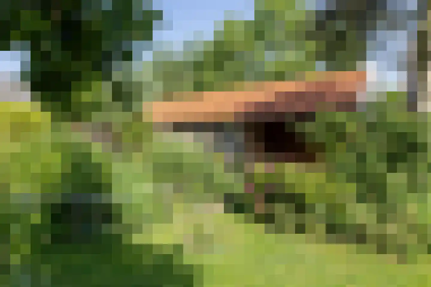 Morsweg 8 Geesteren thumbnail 24