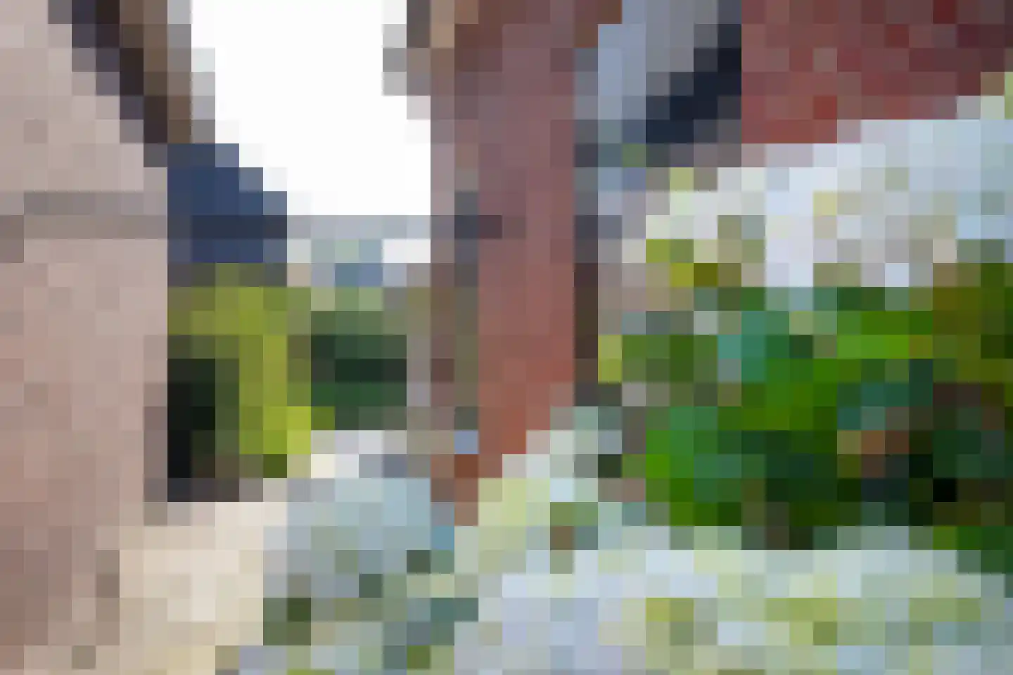 Morsweg 8 Geesteren thumbnail 25