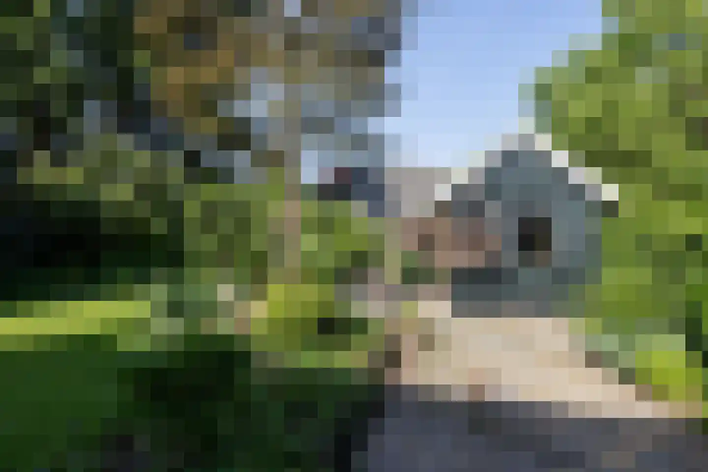 Morsweg 8 Geesteren thumbnail 26