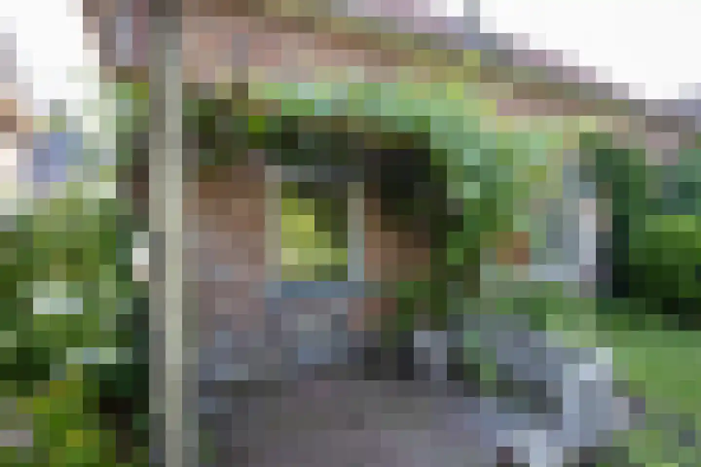 Morsweg 8 Geesteren thumbnail 27