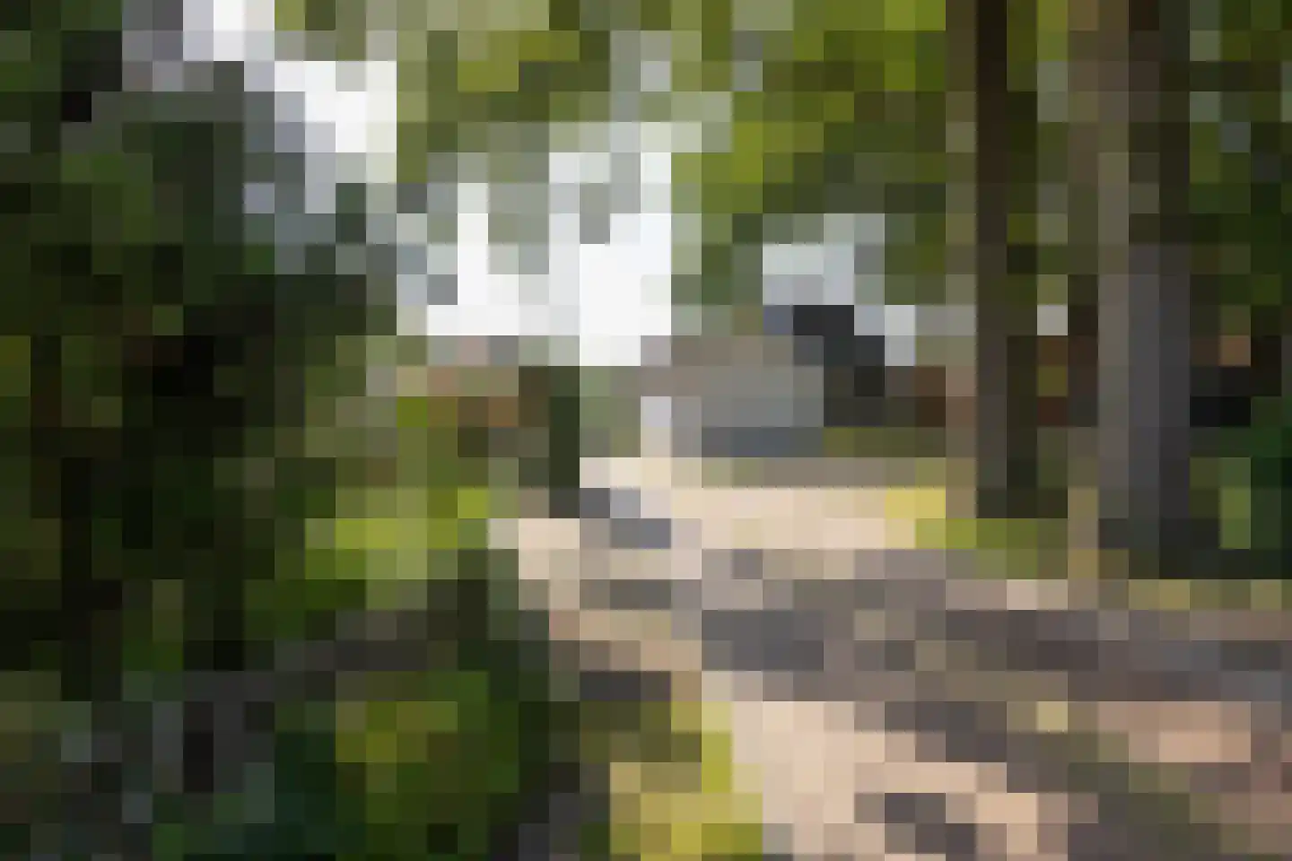 Morsweg 8 Geesteren thumbnail 29