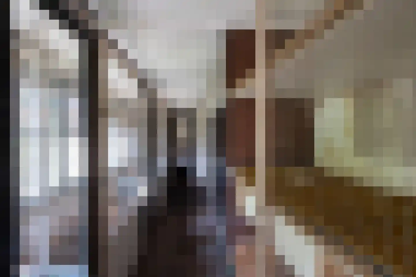 Morsweg 8 Geesteren thumbnail 31