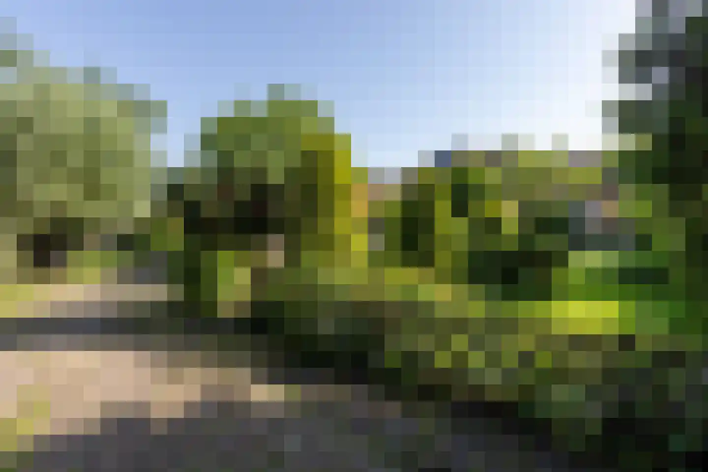 Morsweg 8 Geesteren thumbnail 36