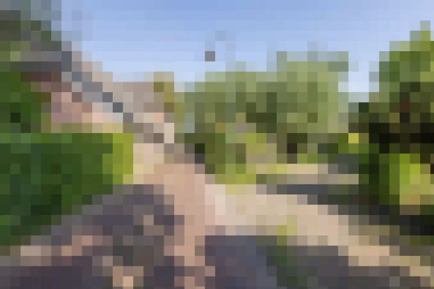 Morsweg 8 Geesteren thumbnail 37