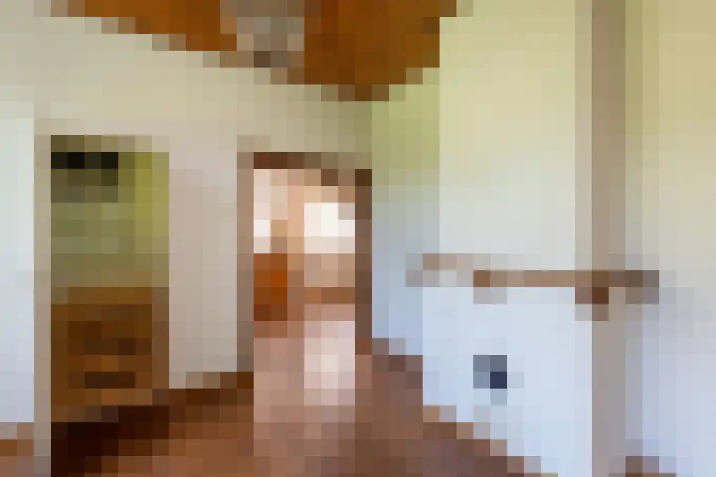 Morsweg 8 Geesteren thumbnail 5