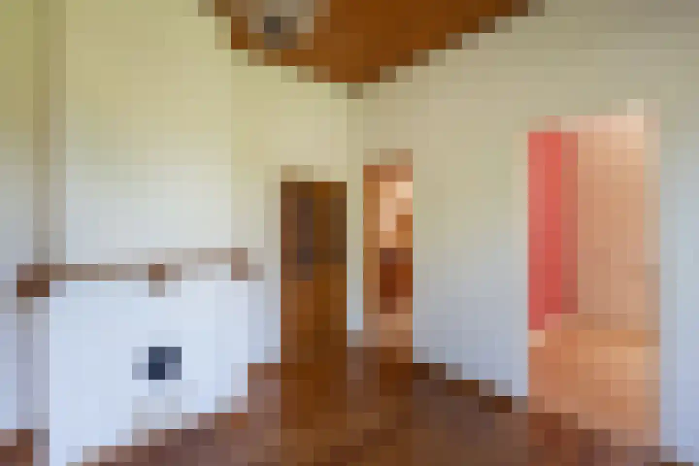 Morsweg 8 Geesteren thumbnail 6