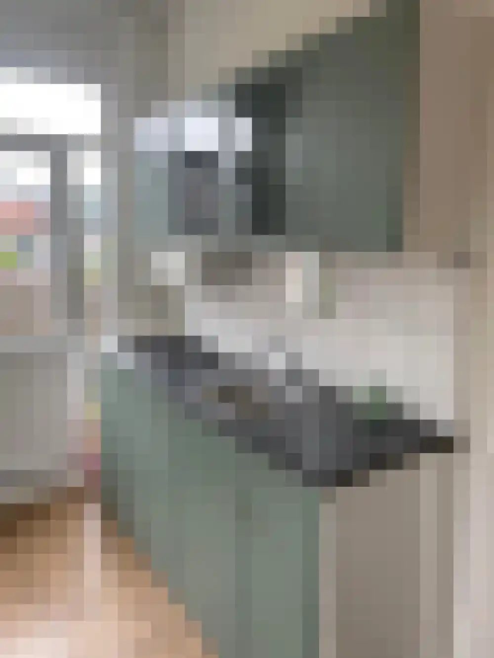 Morsweg Leiden thumbnail 11